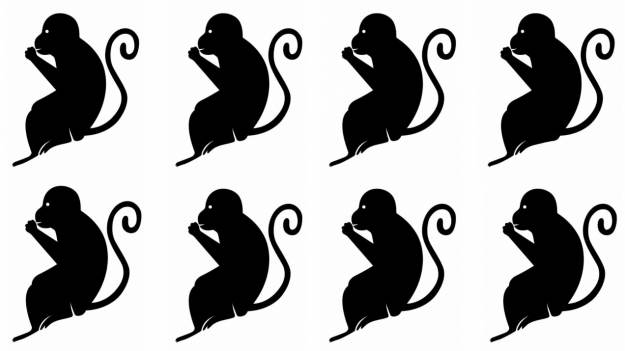 RMF Extra: Tylko bystre oko zauważy tę różnicę w mniej niż 30 sekund! Znajdź niepasującą małpkę