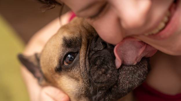 RMF Extra: Pozwalasz psu lizać cię po twarzy? Weterynarz ostrzega