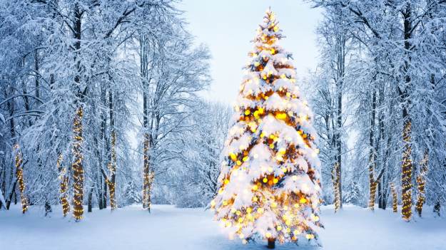 RMF Extra: Jaka będzie pogoda na Boże Narodzenie i sylwestra? Czy spadnie śnieg?