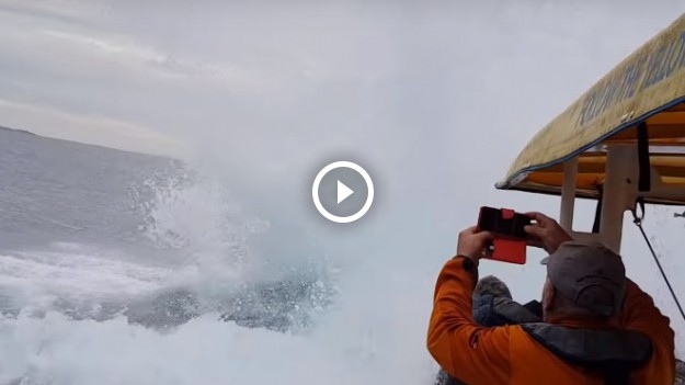 RMF Extra: Turyści na długo zapamiętają ten rejs! Nikt nie spodziewał się wieloryba w akcji! [WIDEO]