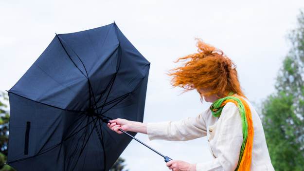 RMF Extra: IMGW ostrzega przed silnym wiatrem! Gdzie obowiązują alerty?