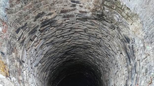 RMF Extra: Mały koziołek wpadł do studni. Akcja ratunkowa strażaków robi ogromne wrażenie [FOTO]