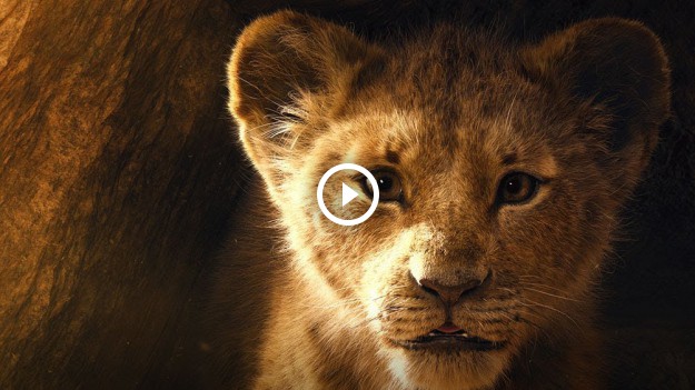 RMF Extra: Król Lew: Pierwszy zwiastun filmu Disneya już w sieci!