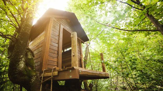 RMF Extra: Gmina nakazała rozbiórkę domku na drzewie. "Samowola budowlana"