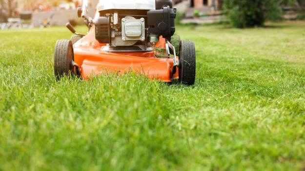 RMF Extra: Nie popełnij tego błędu! Sprawdź, kiedy naprawdę powinieneś skosić trawnik na wiosnę