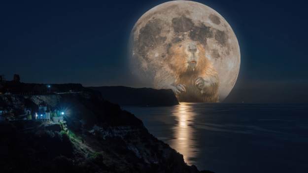 RMF Extra: Dziś w nocy wszyscy będą patrzeć na Księżyc. Niezwykłe zjawisko na niebie