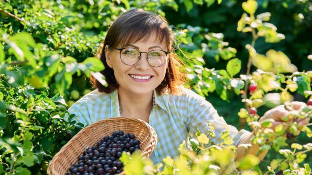 RMF Extra: To najlepszy owoc do oczyszczania tętnic i żył. Wspiera pracę serca