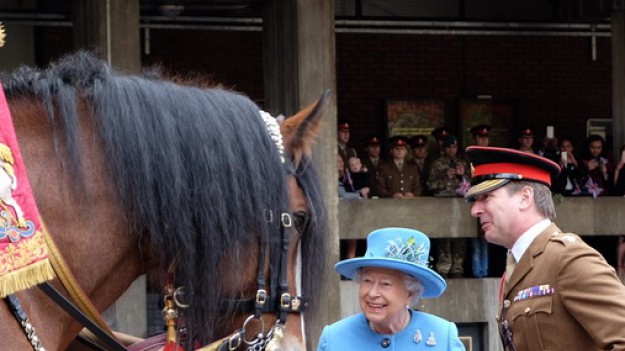 RMF Extra: Królowa Elżbieta  II wygrała na wyścigach konnych prawie 7 mln funtów!