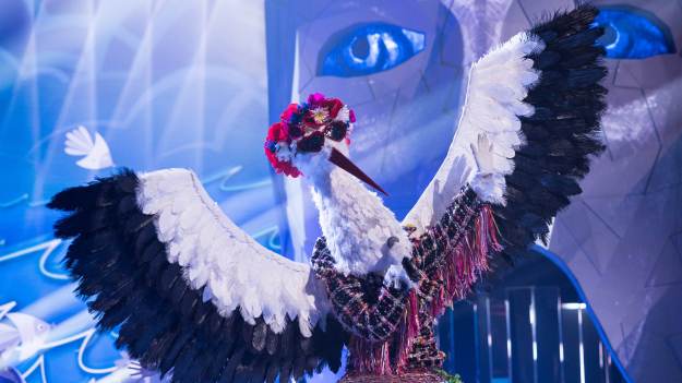 RMF Extra: "Mask Singer". Kim jest Bocian? Nie ma już prawie żadnych wątpliwości. To ona kryje się pod przebraniem?