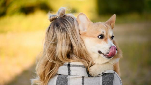 RMF Extra: Twój pies zjadł coś na spacerze? Sprawdź, jak reagować!