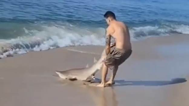 RMF Extra: Nie zna strachu. Złapał rekina gołymi rękami i wyciągnął z wody [WIDEO] 