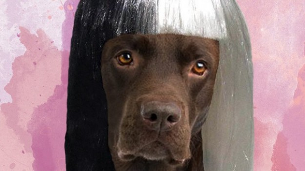 RMF Extra: Sia – "Alive". Zobacz ten niesamowity teledysk!