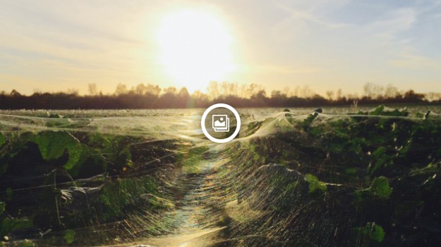 RMF Extra: Nie uwierzycie, że te zdjęcia zostały zrobione telefonem!