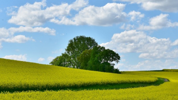 RMF Extra: Pogoda zepsuje nam weekendowe plany? Zobacz prognozę