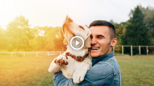 RMF Extra: Wdzięczne psy ze schroniska dostają upragniony dom! Zobacz, jak reagują na nowych właścicieli!