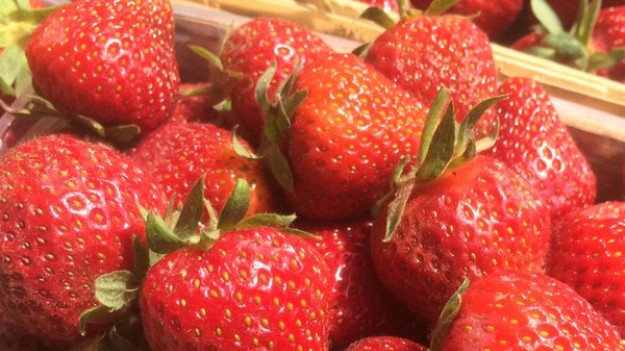 RMF Extra: Pierwsze polskie truskawki... tylko dla bogaczy!