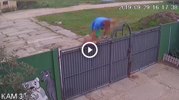 RMF Extra: Włamali się do schroniska i porzucili psa! Wszystko nagrała kamera! [FILM]