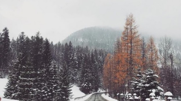 RMF Extra: Nadciąga zima - podpowiadamy, jak wyprowadzić samochód z poślizgu!