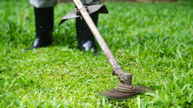 RMF Extra: To ostatni moment na koszenie trawy! Trawnik będzie gęsty i zielony na wiosnę