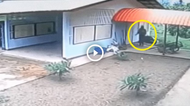 RMF Extra: To jest najsprytniejszy inaczej złodziej, jakiego kiedykolwiek widziałeś!