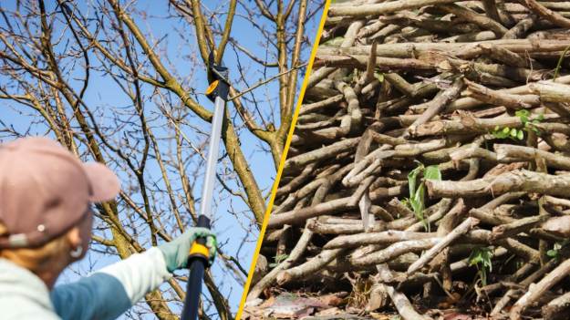 RMF Extra: Wycinasz gałęzie i wyrzucasz je do śmieci? Wiele osób w ten sposób traci pieniądze 