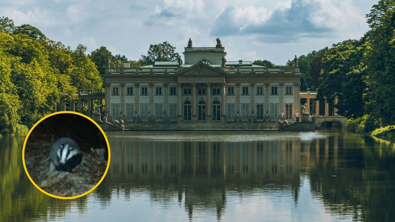 Łazienki Królewskie apelują do odwiedzających! Tajemniczy lokator w sercu Warszawy