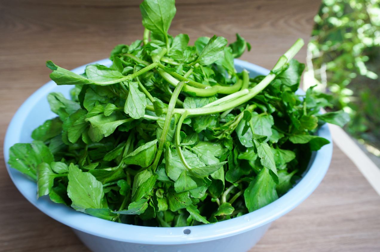 Naukowcy wybrali najzdrowsze warzywo świata! Polacy mało kiedy je kupują