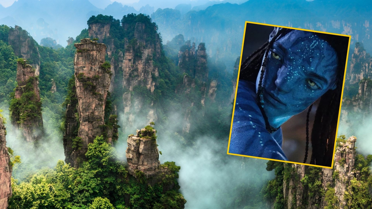 Pandora istnieje naprawdę? To ten park zainspirował twórców „Avatara”