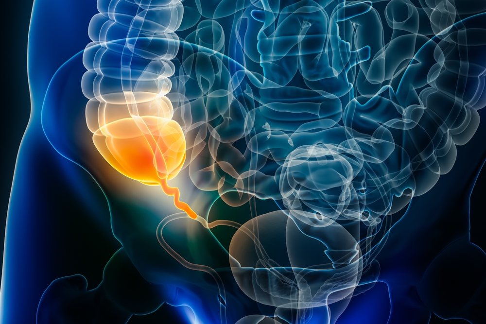 Wyrostek robaczkowy to medyczna pomyłka? Biolodzy wyjaśniają zagadkę „zbędnego” organu