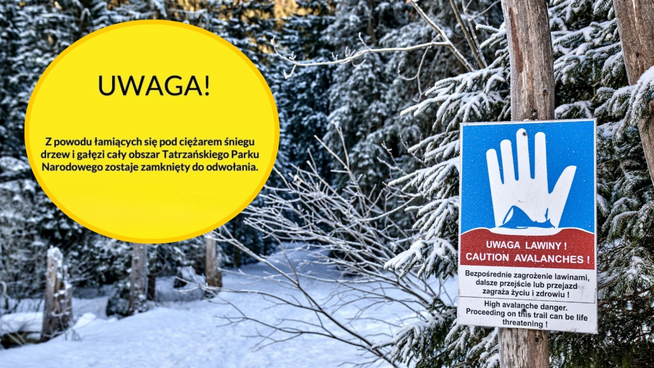Tatrzańskie szlaki zamknięte. Wydano pilny komunikat dla turystów! „Cały obszar TPN zostaje zamknięty do odwołania”