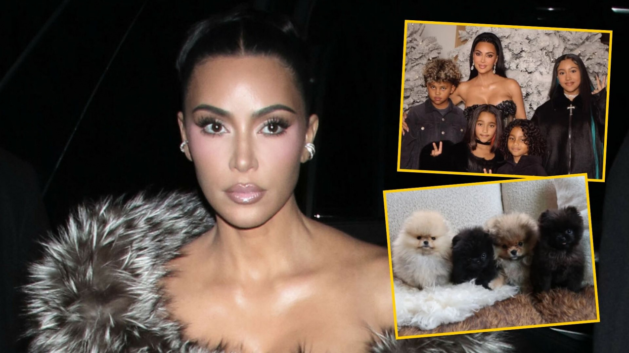 Dała dzieciom szczeniaczki pod choinkę. W sieci..