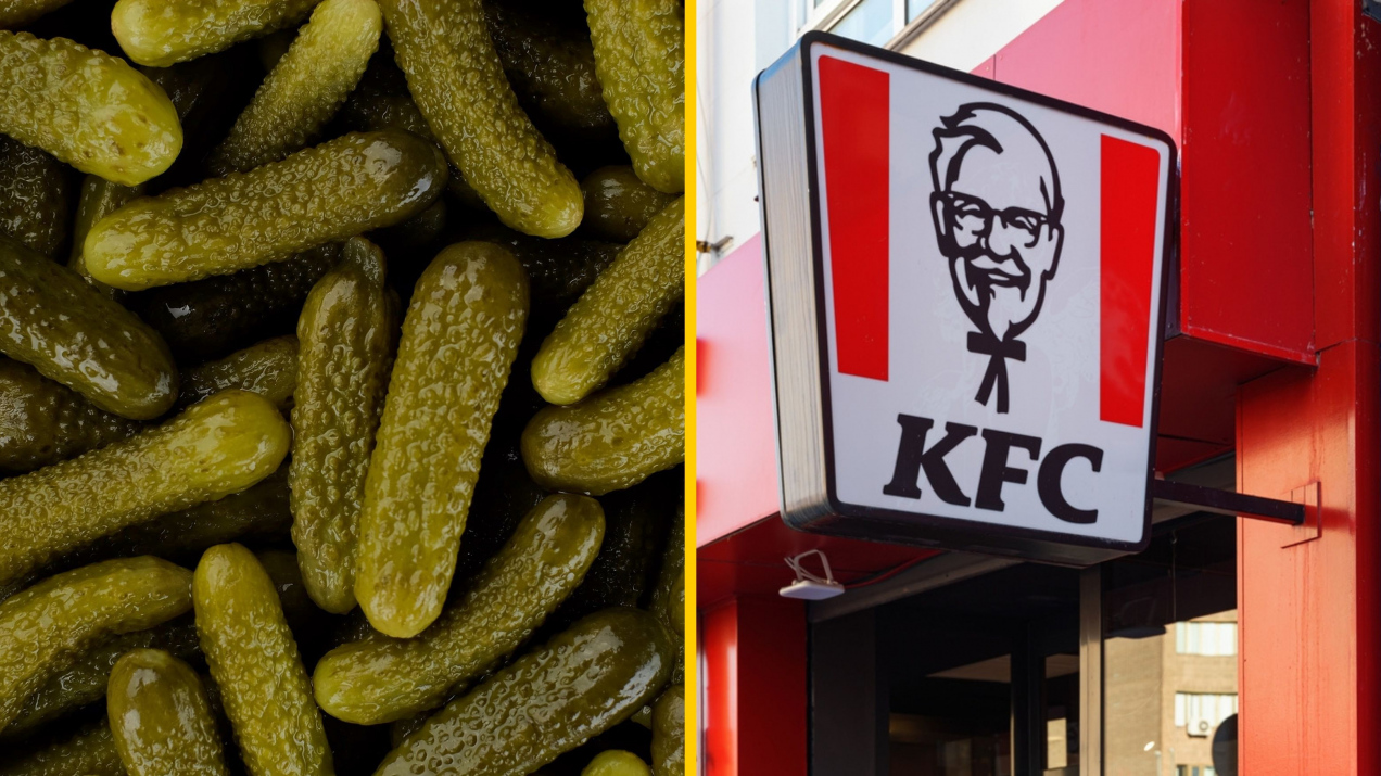 Zamiast puchu - kiszone ogórki. KFC zaprezentowało absurdalną kurtkę