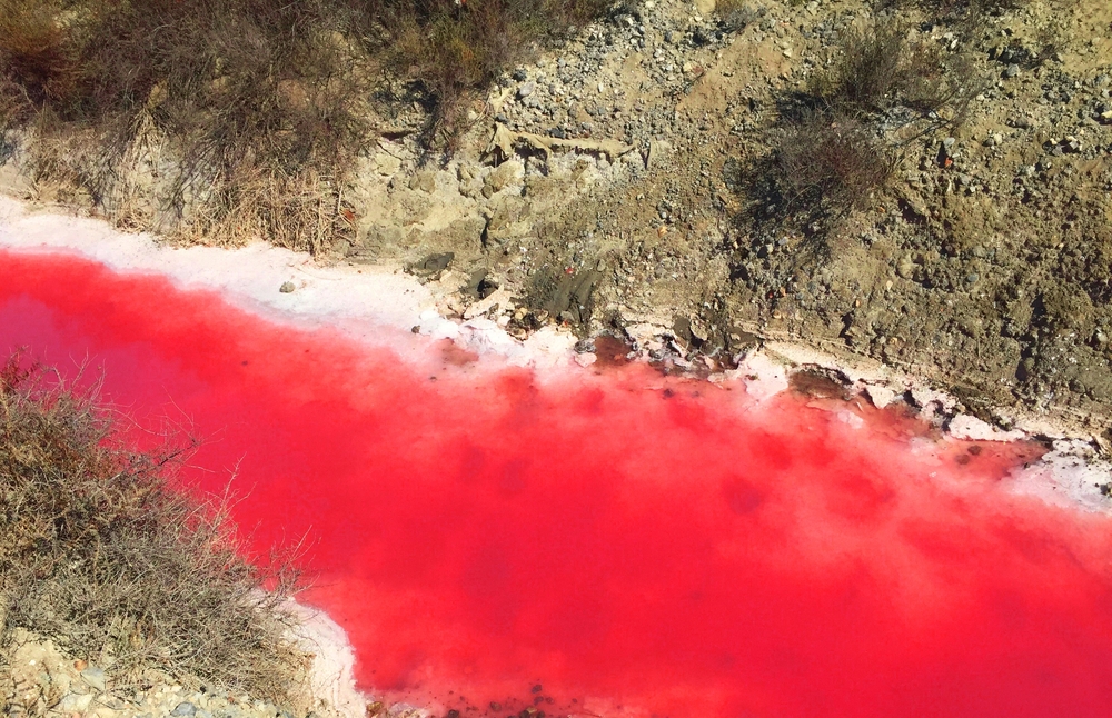 Jezioro Natron w Tanzanii. Zwierzęta zamieniają się w mumie!