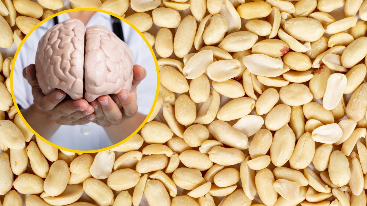 Naukowcy potwierdzają: wystarczą dwie łyżeczki dziennie. To może opóźnić starzenie się mózgu choćby o 60%!