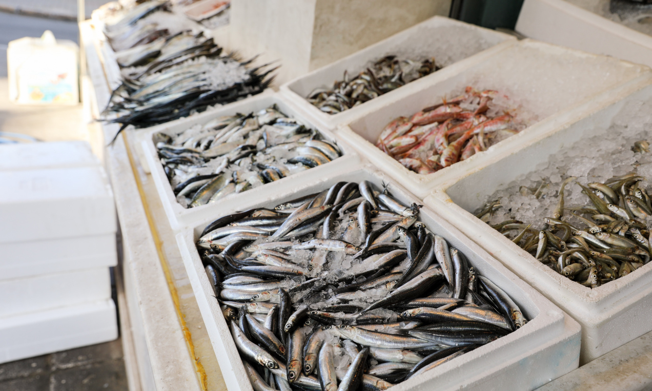 Nie trzeba ich filetować! Pyszna alternatywa dla karpia