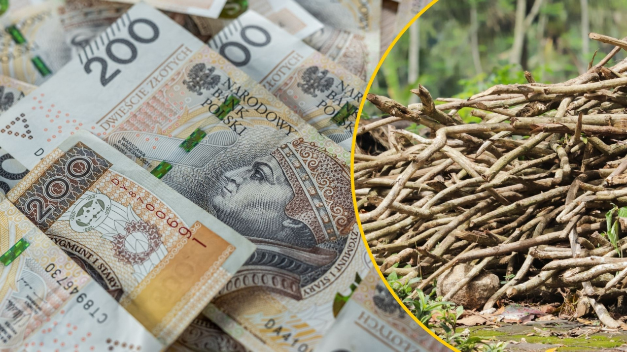 Wiosną łatwo dorobisz do budżetu! W tym roku ceny za sprzedaż tych materiałów są rekordowe