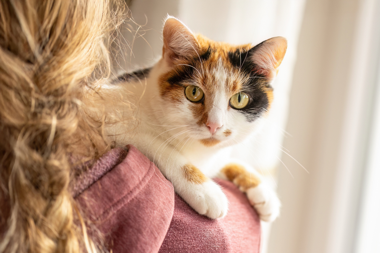 Jak pokazać kotu, iż naprawdę go kochasz? Oto 5 najlepszych sposobów!