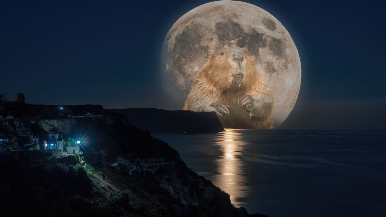 Dziś w nocy wszyscy będą patrzeć na Księżyc. Niezwykłe zjawisko na niebie