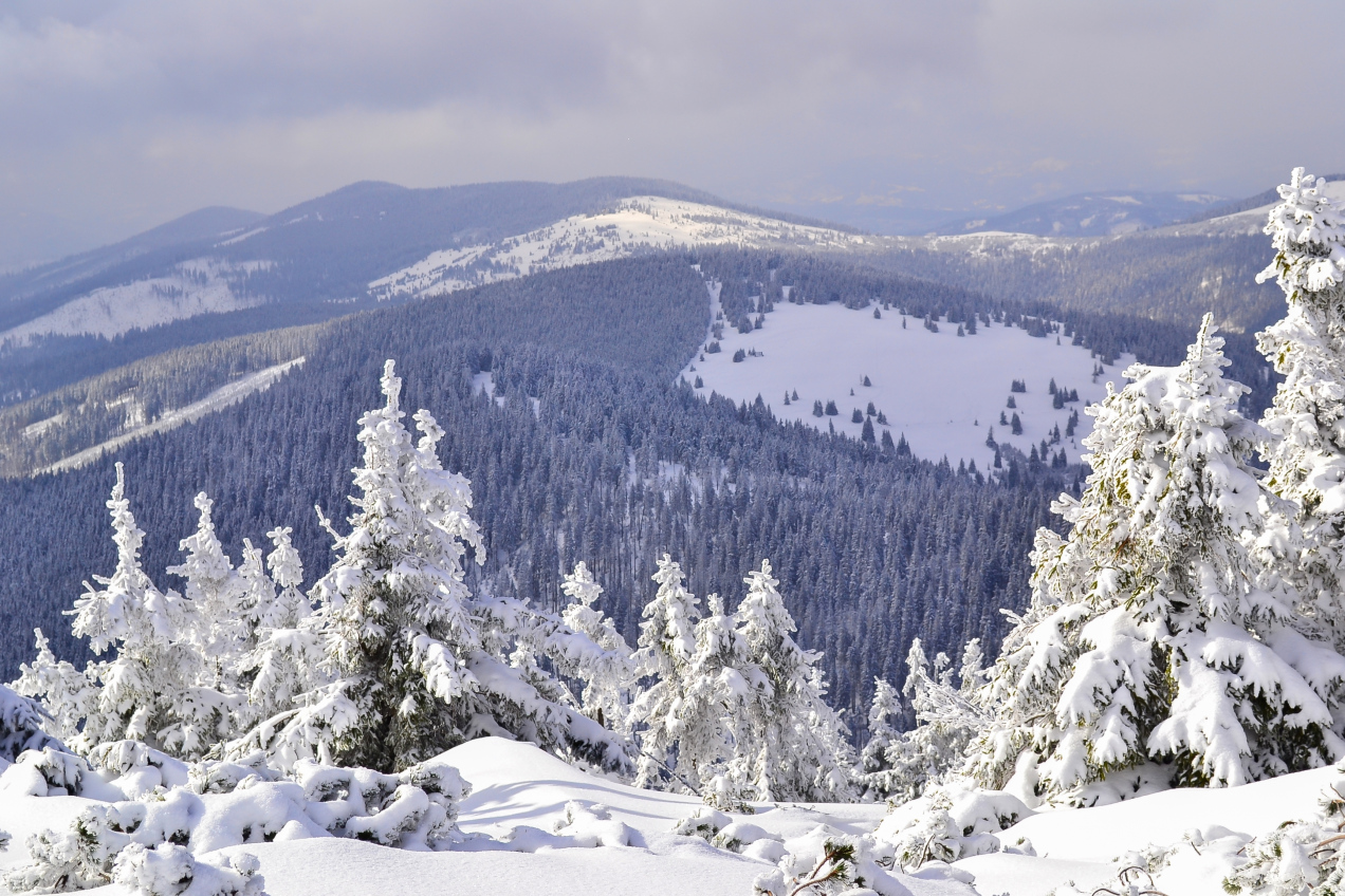 Kiedy koniec mrozów? Prognozy nie pozostawiają złudzeń