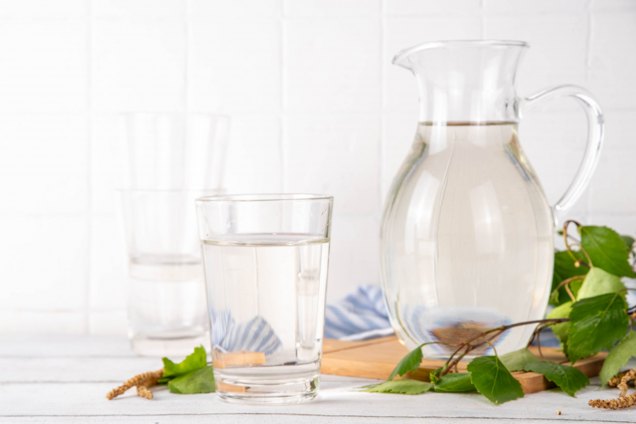 „Leśne złoto” z polskich drzew. Wystarczą 3 szklanki dziennie, by „odtruć” organizm