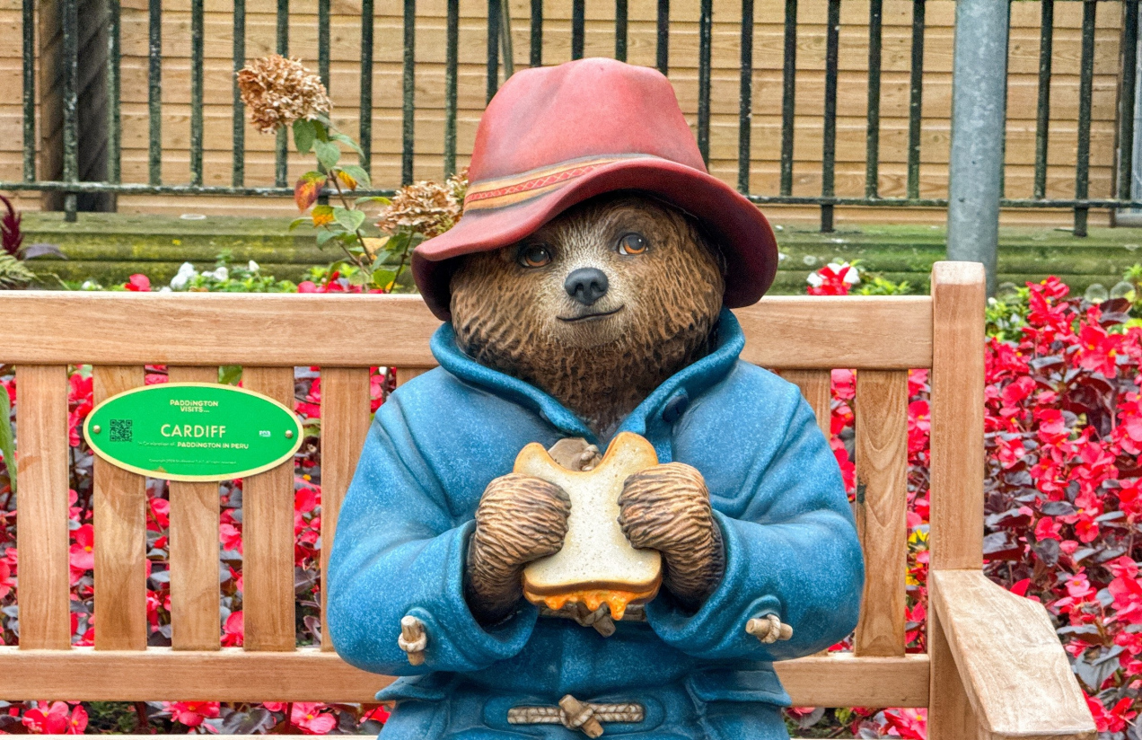 Miś Paddington powrócił! Kultowy miś na żywo. Fani zachwyceni