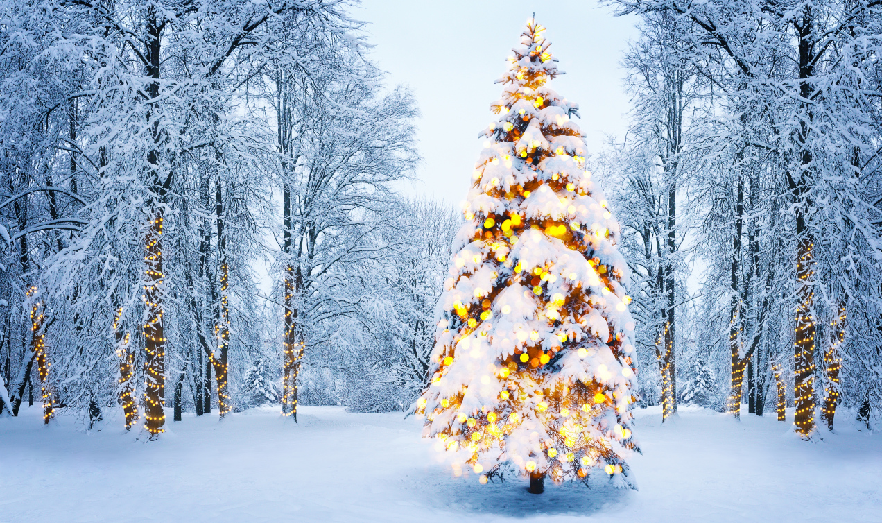 Jaka będzie pogoda na Boże Narodzenie i sylwestra? Czy spadnie śnieg?