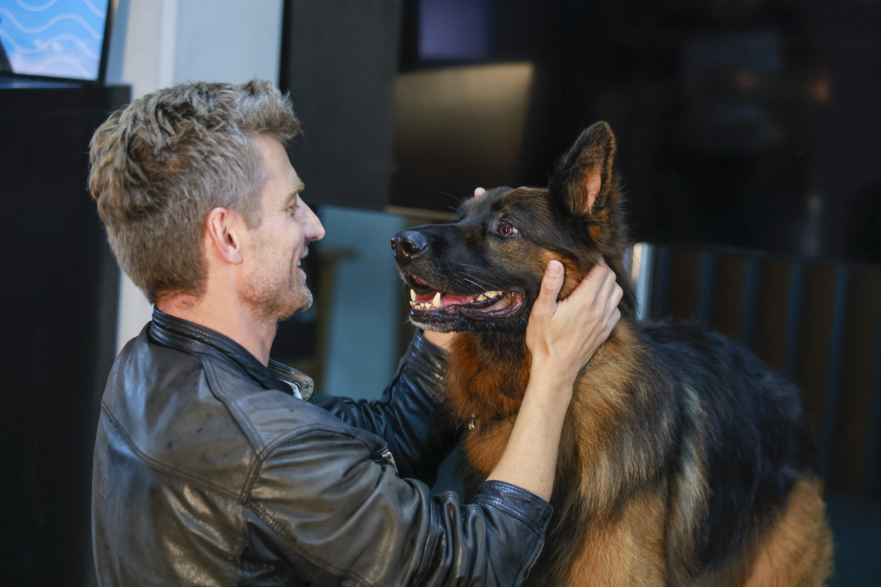 Są nowe wyniki oglądalności „Komisarza Alexa”. Serial traci widzów