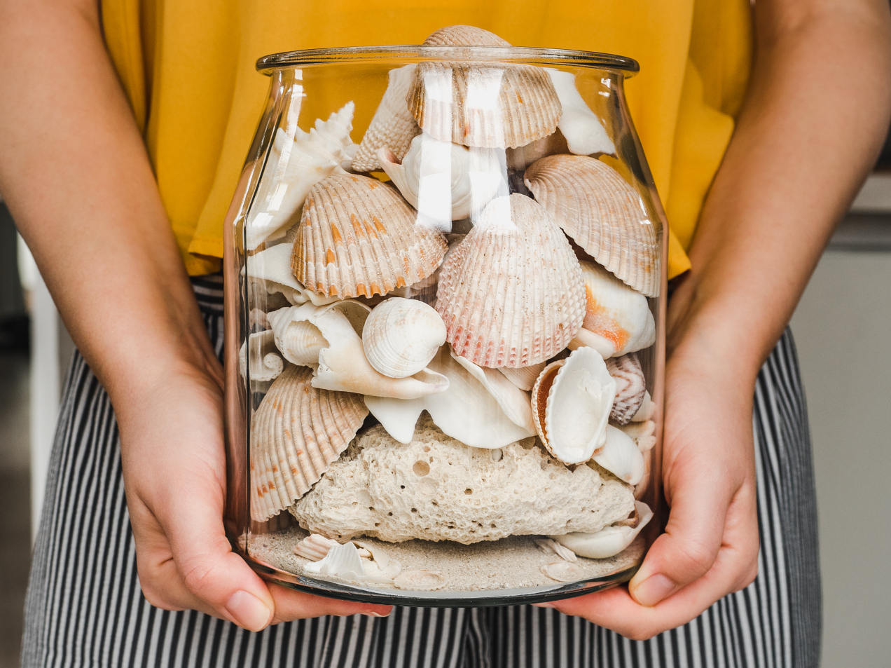 Czy muszle w domu przynoszą pecha? Dlatego lepiej ich nie zbierać na pamiątkę z wakacji