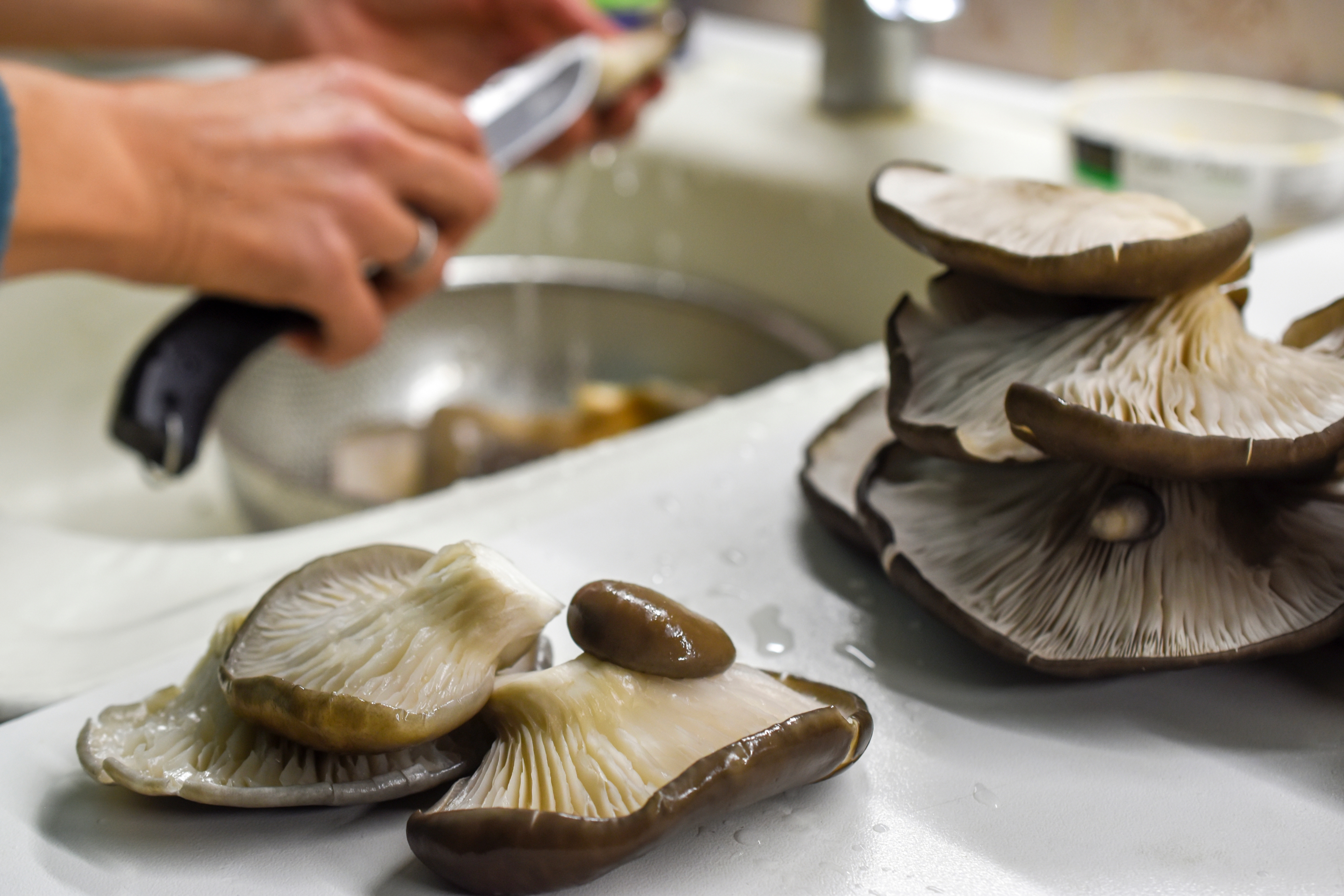 Trzeba myć boczniaki?